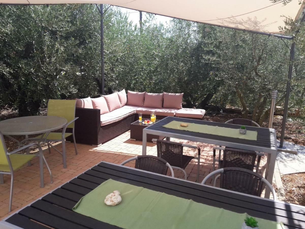 Apartments Olive Garden - Swimming Pool Biograd Na Moru Zewnętrze zdjęcie